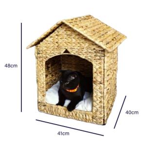 Pet Products
