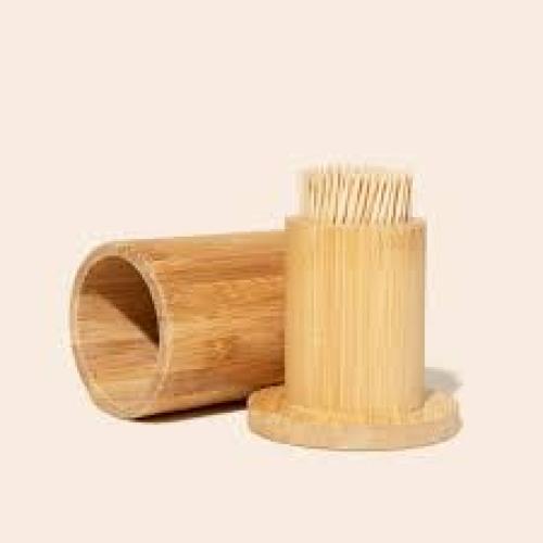 Bamboo TooThpick Box