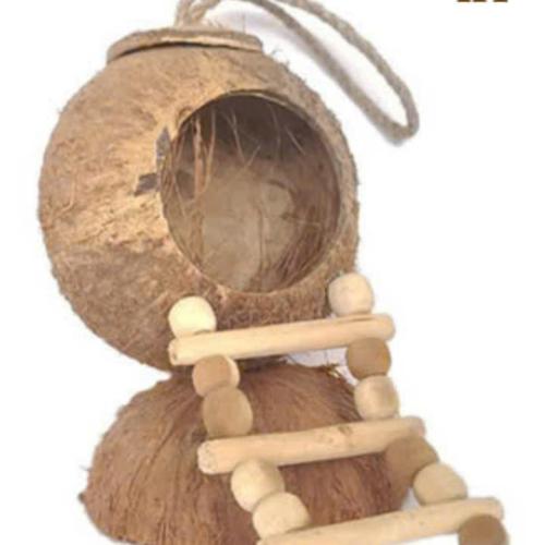 Pet Toys