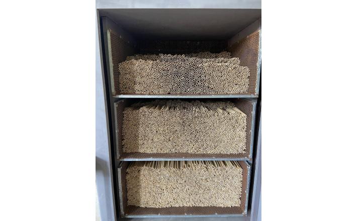 Bamboo Straws 