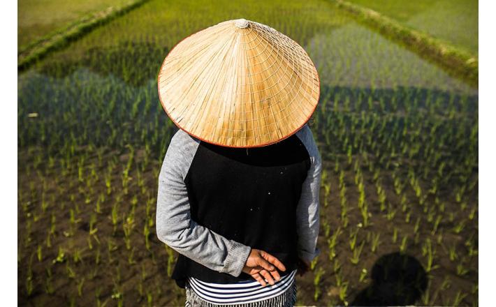 Conical Hat