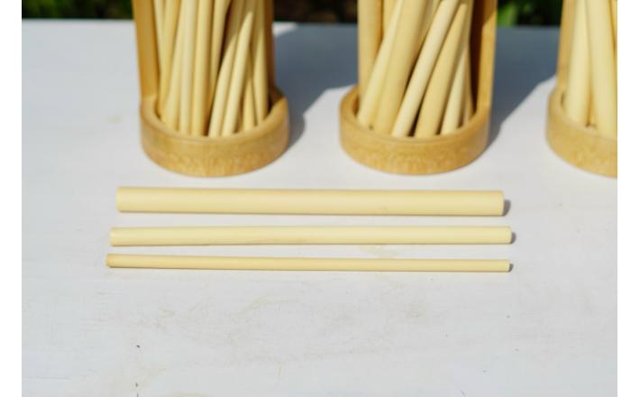 Bamboo Straws 