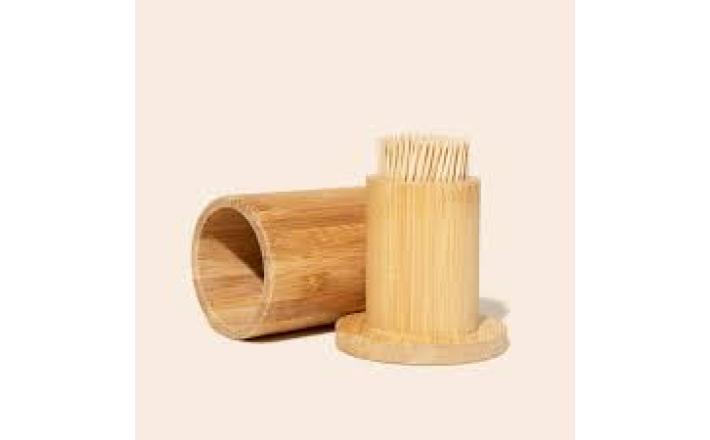 Bamboo TooThpick Box
