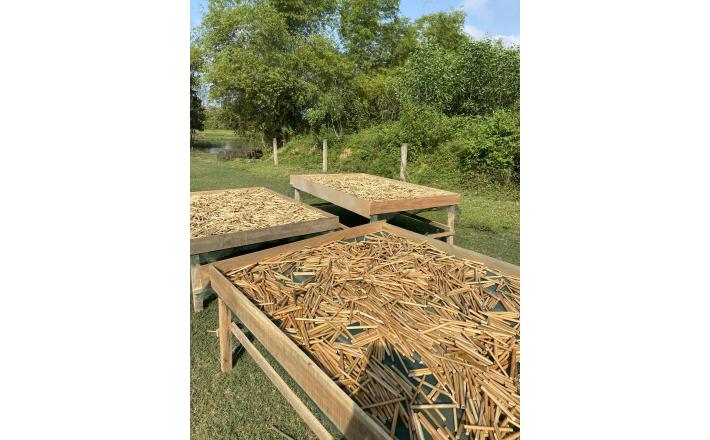 Bamboo Straws 
