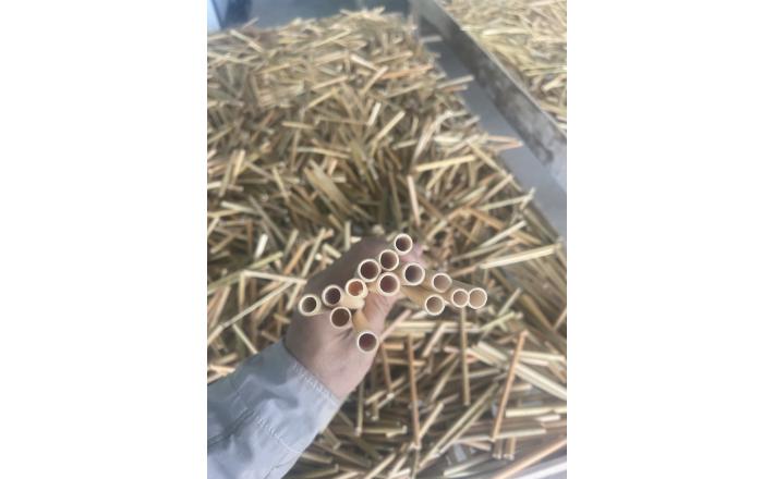 Bamboo Straws 