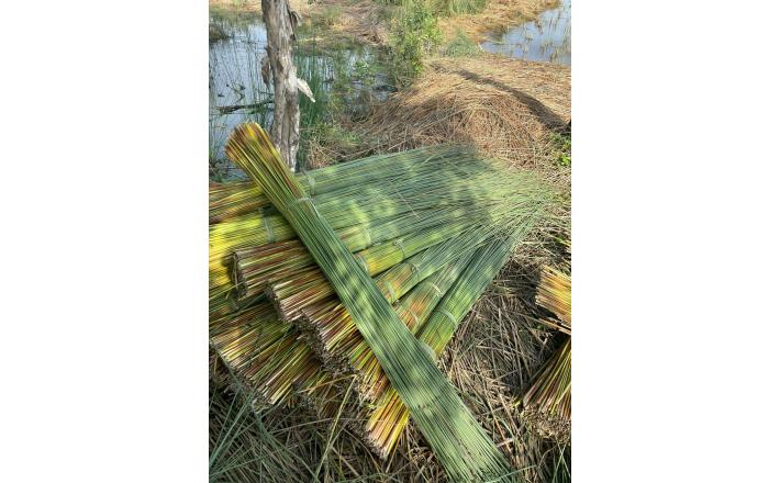 Grass Straws
