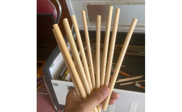 Bamboo Straws 