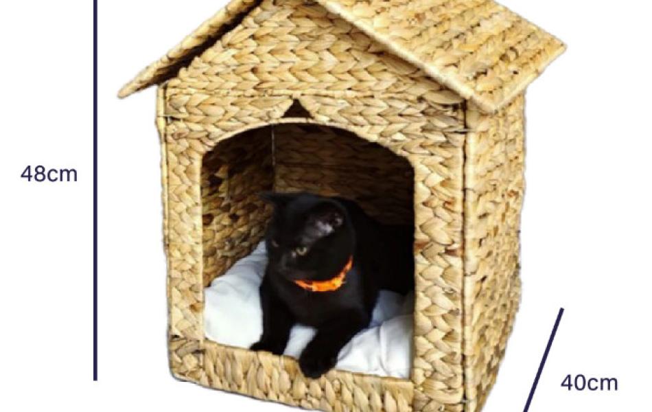 Pet Bed 
