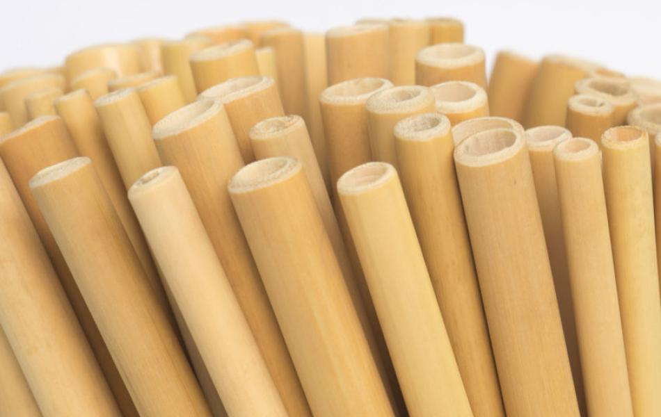 Bamboo Straws 