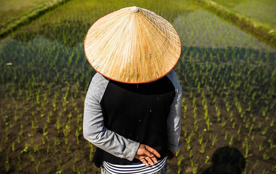 Conical Hat