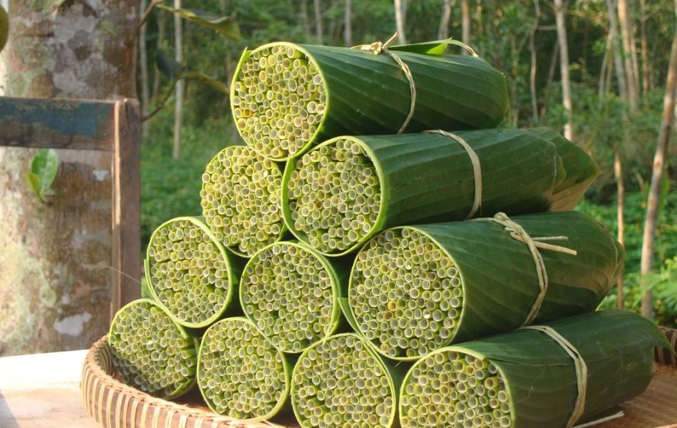 Grass Straws