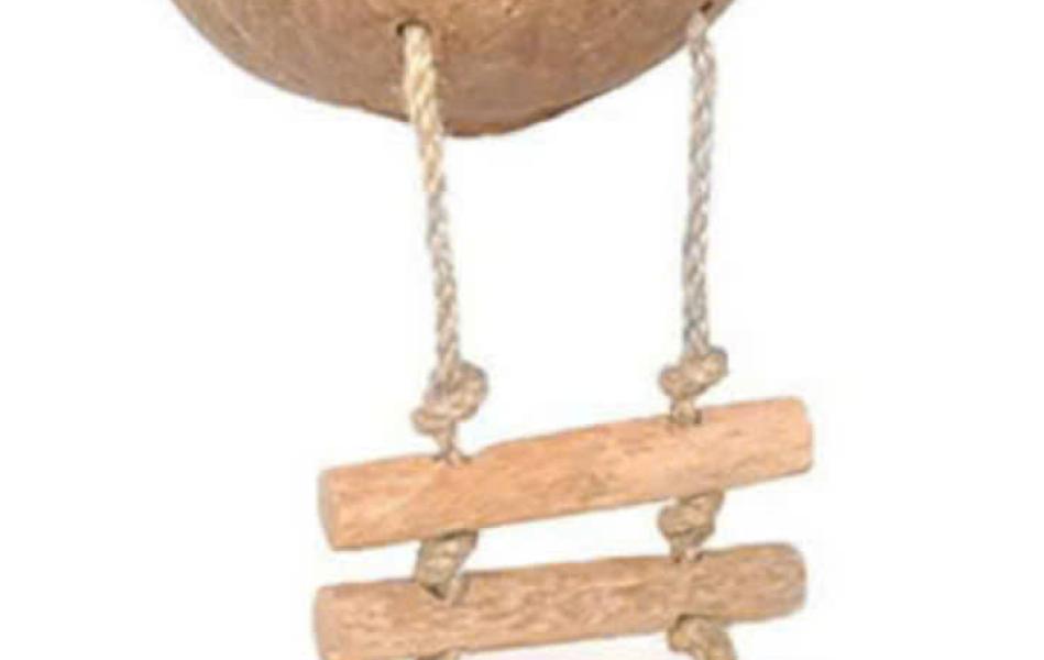 Pet Toys