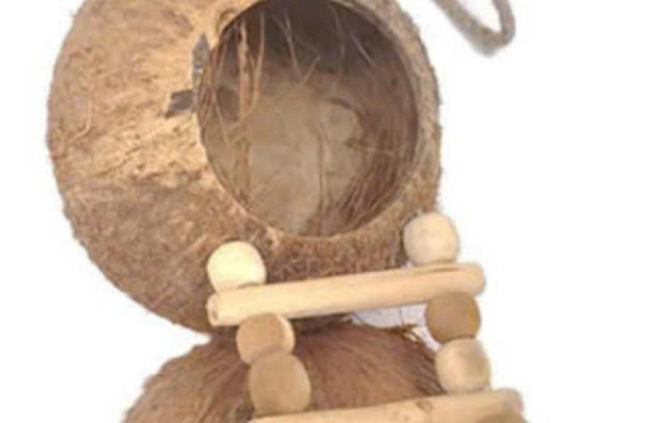 Pet Toys