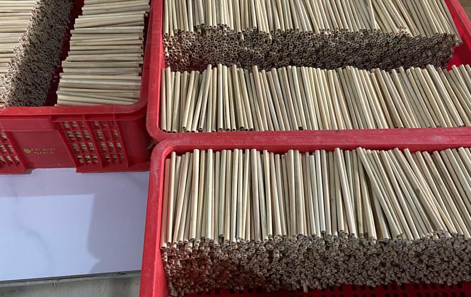 Bamboo Straws 