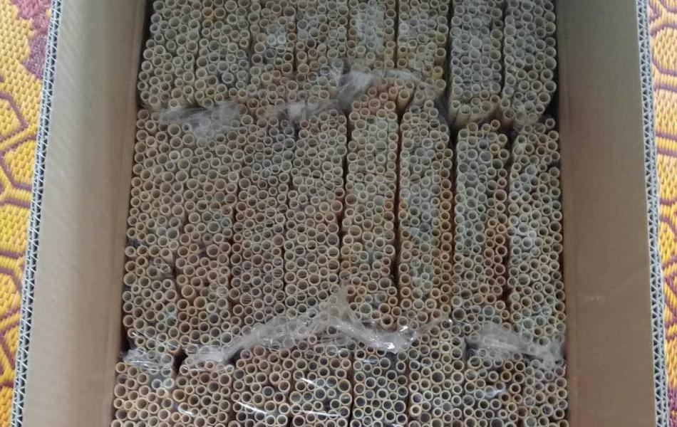 Bamboo Straws 