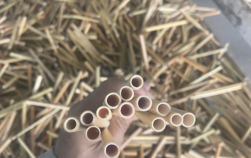 Bamboo Straws 