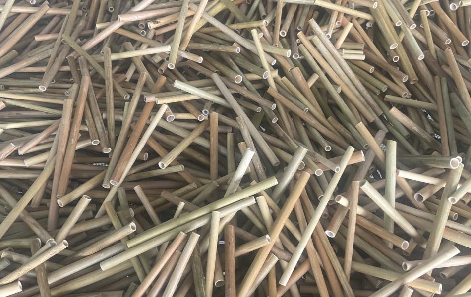 Bamboo Straws 