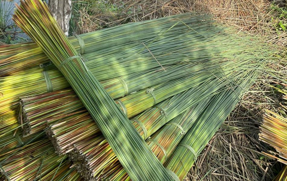 Grass Straws